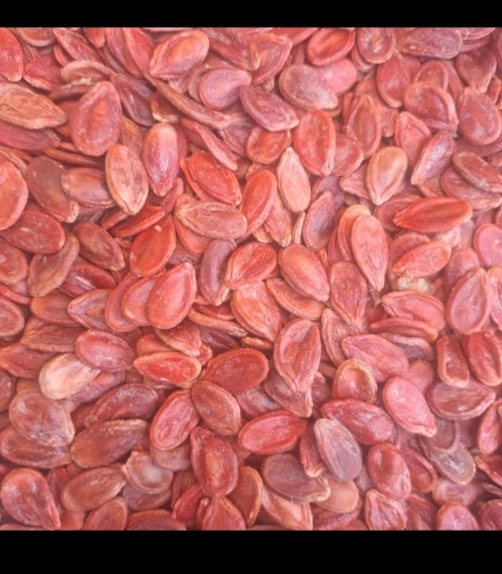 تخمه ژاپنی