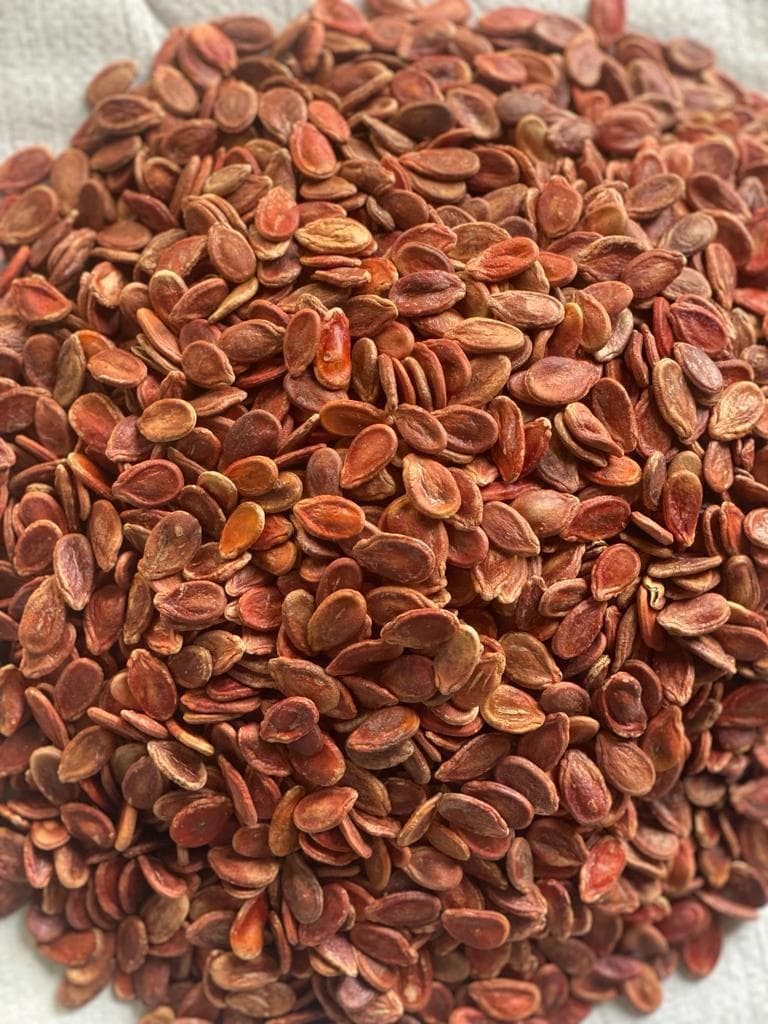 تخمه ژاپنی
