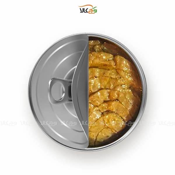 کنسرو گیاهی تن ماهی – دوست ماهی – 160 گرمی – وایز فود